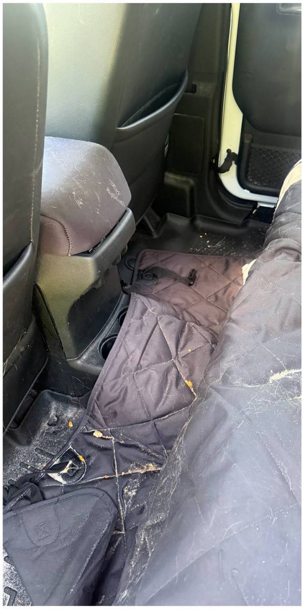 Jeep back seat before detailing